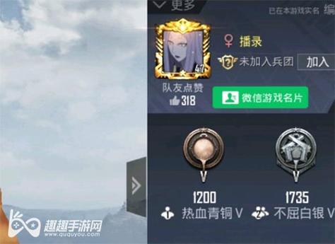 如何识别和防范和平精英游戏中的外挂行为